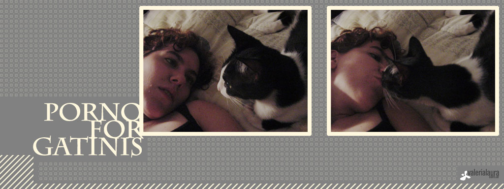 kitty pr0n!